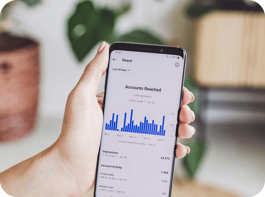 Population Insights
